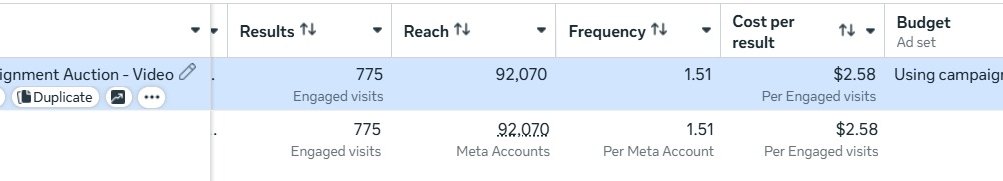 Advertising campaign results summary